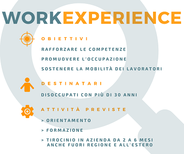 Work Experience 2020 - dgr 256
